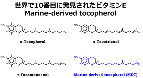 ٝ׼ڤkҊԥӥߥţMarine-derived tocopherol
